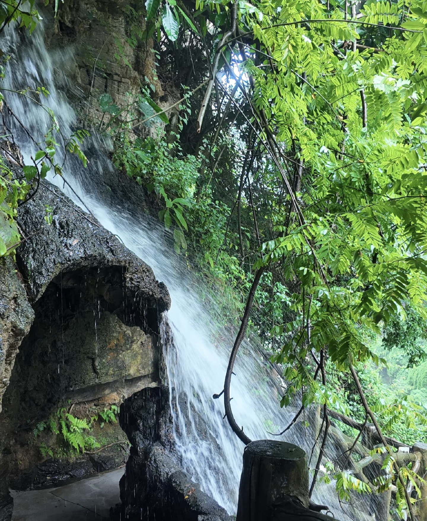 黔西南州对乘坐高铁至兴义南站的旅客实施旅游优惠政策